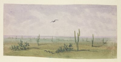 La Boa Constrictor Americana de George Sand